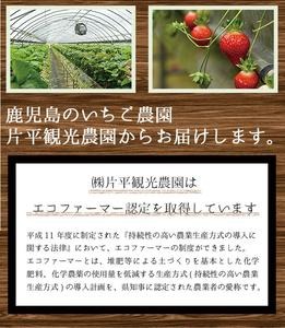 No.298 冷凍いちご(計約2kg・約1kg×2) 国産 九州産 苺 いちご イ
