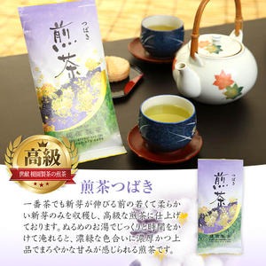 No.014 煎茶セット(雅)【世献 榎園製茶】