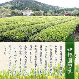No.112 お手軽煎茶セット【世献 榎園製茶】