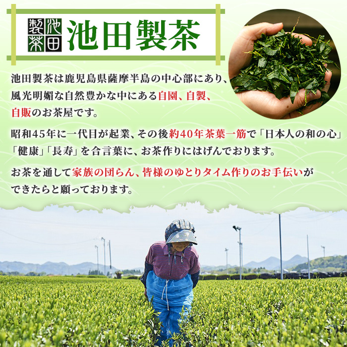 No.1329 日置市産緑茶！茶農家のおすそ分け(230g×5本) 国産 九