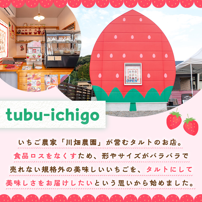 No.1316 いちごのタルトアソートセット(6種) 国産 スイーツ ケ