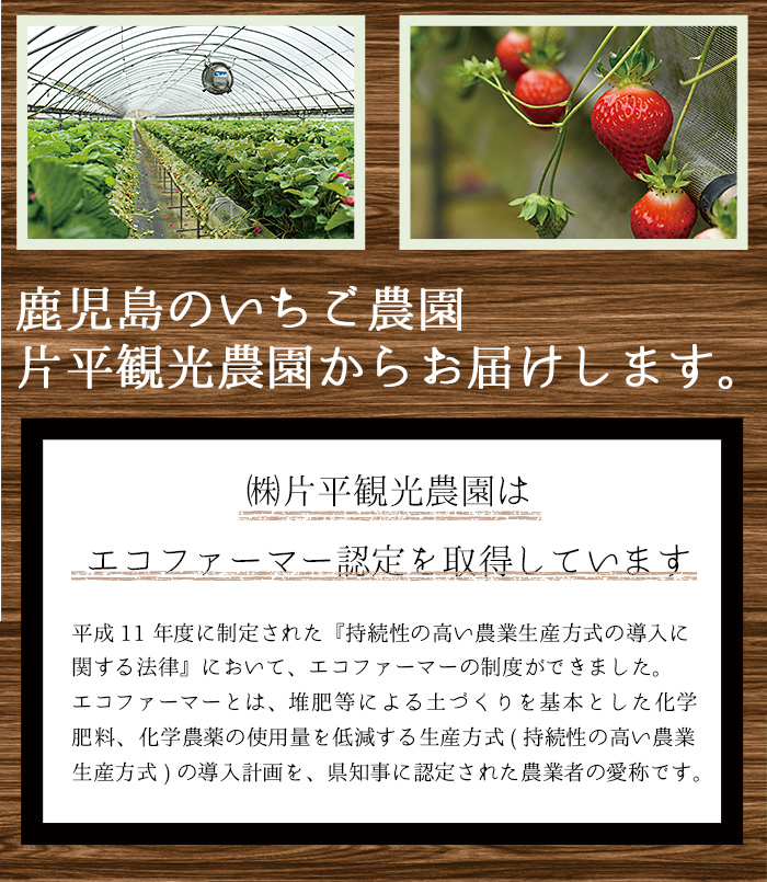 No.362 ＜訳あり・小粒＞ころころサイズの冷凍いちご(計約2.5