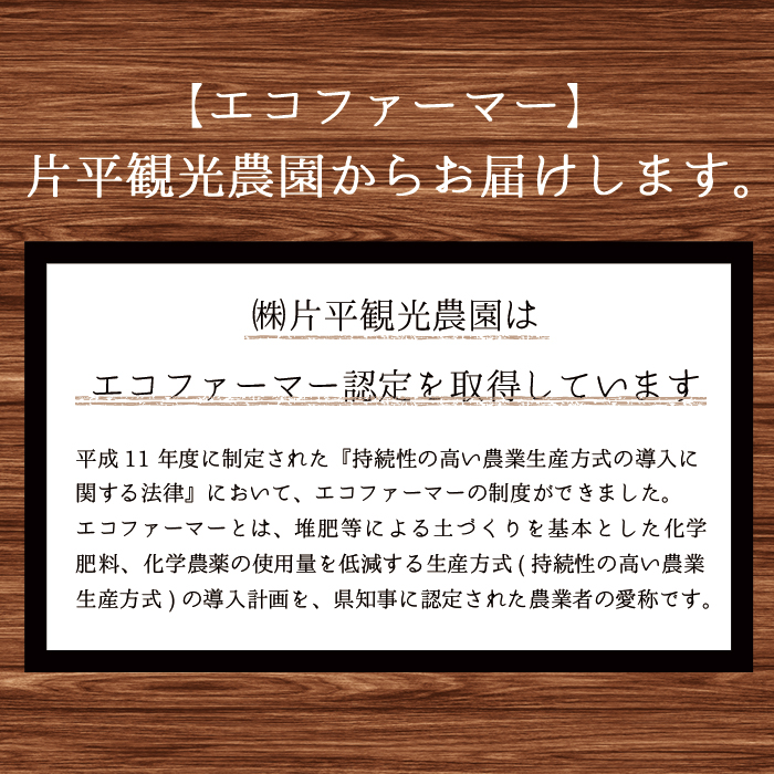 No.396 手造り不知火ジャム (200g×6本) 鹿児島県産 無添加 みか
