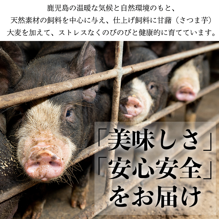 No.401 鹿児島県産黒豚肉使用！黒豚ロース味噌漬け(合計560g