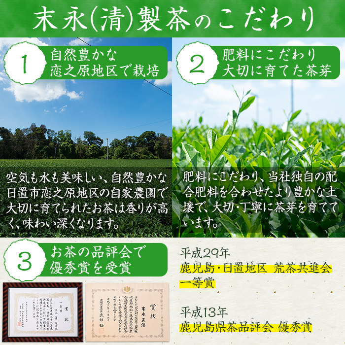 No.410 ＜鹿児島県産＞煎茶(100g×5袋セット 計500g)【末永(清)製
