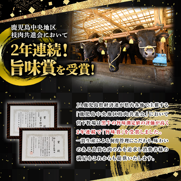 No.417 薩摩和牛のロースステーキ(2枚・計400g)国産 九州産 牛