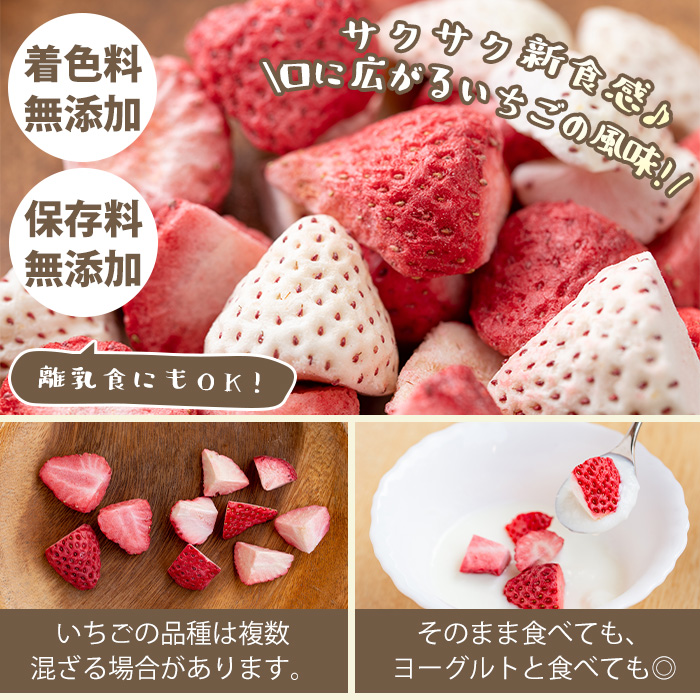 No.464 いちごのフリーズドライセット(赤いちご9g×3袋・白い