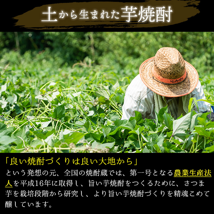 No.656 ＜本格芋焼酎＞南国酒造・女性にオススメmimi＆MARCOセ