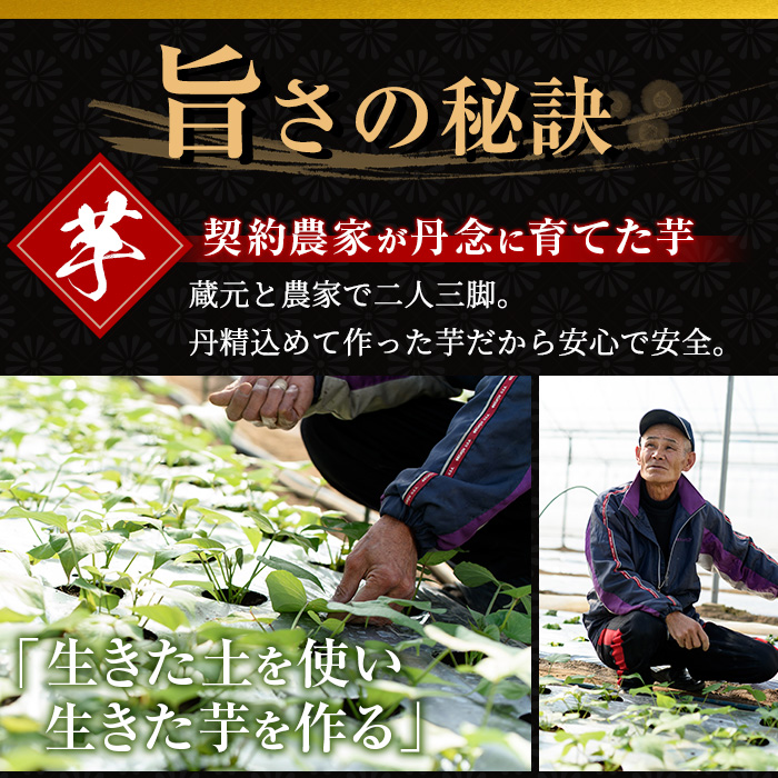 No.697 本格麦焼酎むぎいち(900ml×6本・計5.4L) 【小正醸造】