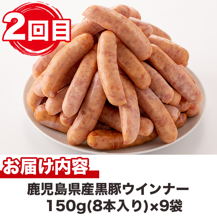 No.725 ＜定期便・全5回(連続)＞鹿児島産黒豚味わい尽くしコ