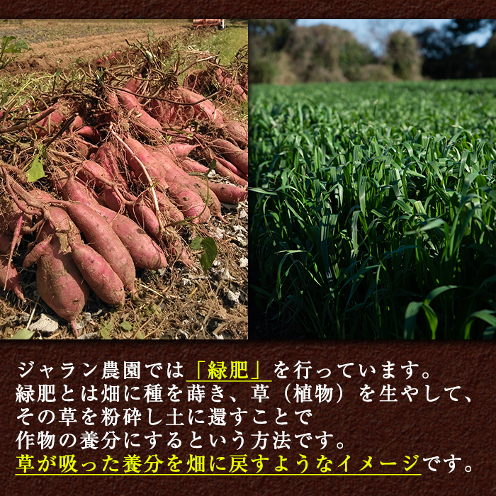 No.452 鹿児島県産！日置市の有機さつま芋紅はるか(6kg)国産 