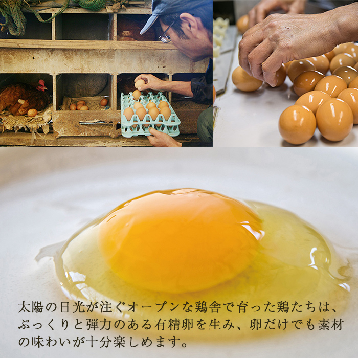 No.758 鹿児島の伝統料理、鶏飯6袋セット(250g×6袋・計1.5kg)【