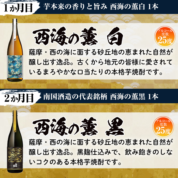 No.766 ＜定期便・全6回(連続)＞南国酒造の厳選芋焼酎定期便B