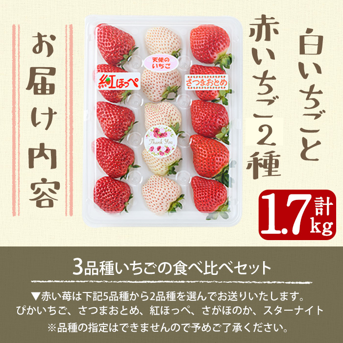 No.778 ＜先行予約受付中！＞3品種いちごの食べ比べセット(