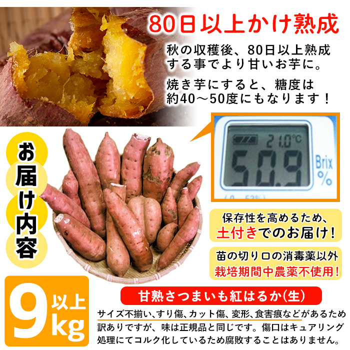 No.892 ＜訳あり・規格外＞栽培期間中農薬不使用 甘熟さつま