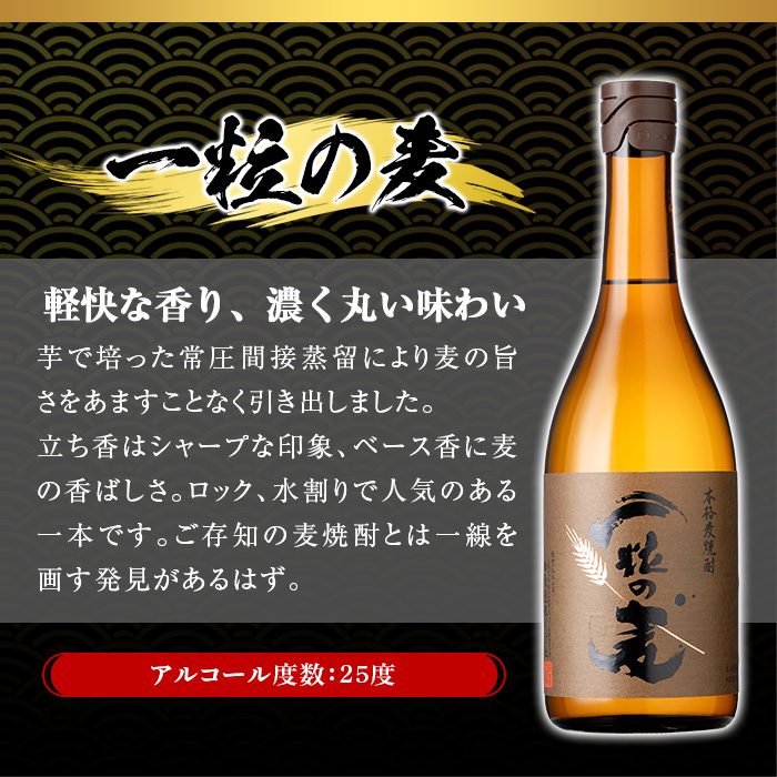 No.912 一粒の麦(720ml×5本) 焼酎 麦焼酎 酒 アルコール 麦 家飲