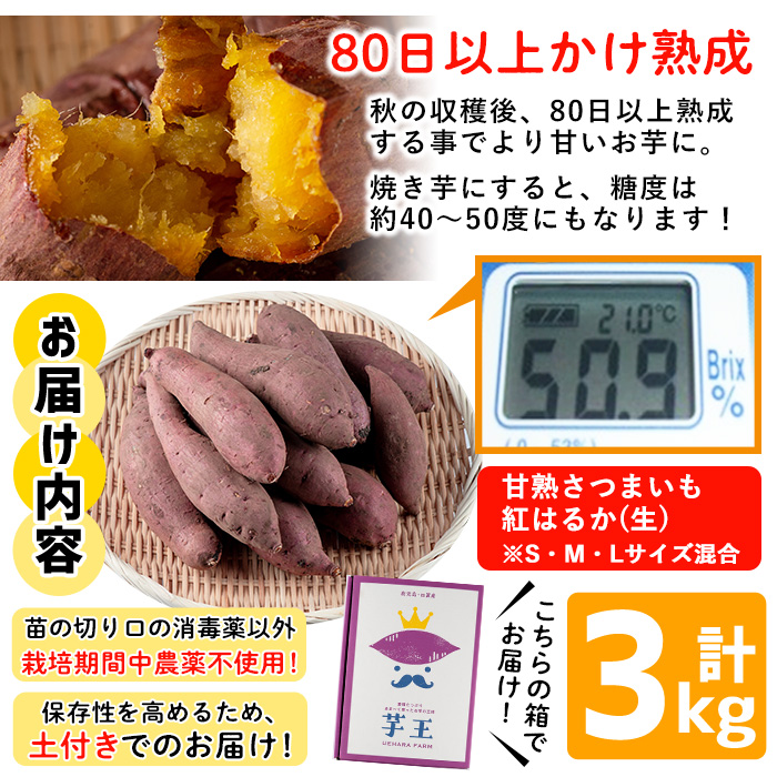 No.433 ＜先行予約受付中！＞鹿児島県産！栽培期間中農薬不