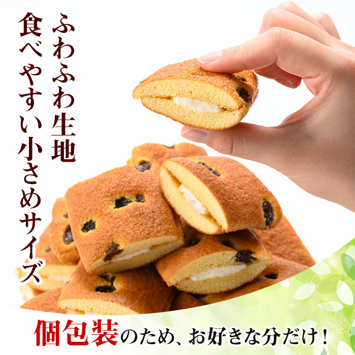 No.1072 鹿児島県日置市工場産！レーズンクリームサンド(計72