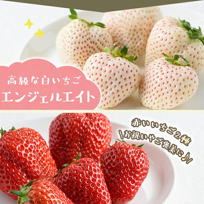 No.1162 ＜先行予約受付中！＞紅白いちごの食べ比べセット(