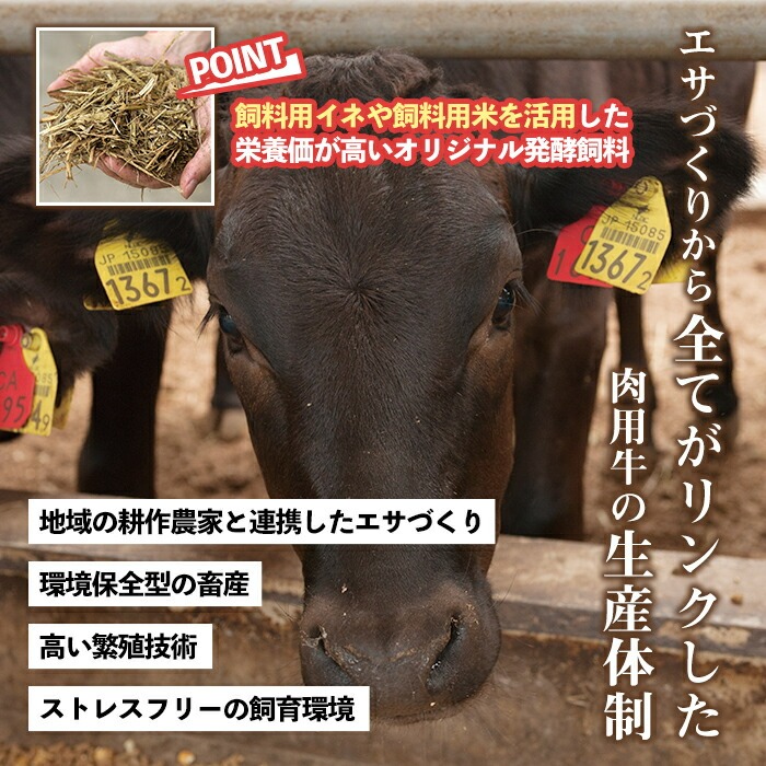 No.1247 ＜定期便・全3回(連続)＞カミチクの定番！鹿児島県産