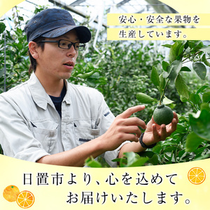 No.1251 ＜先行予約受付中＞温州みかん狩り(2名分)＆人気のジ