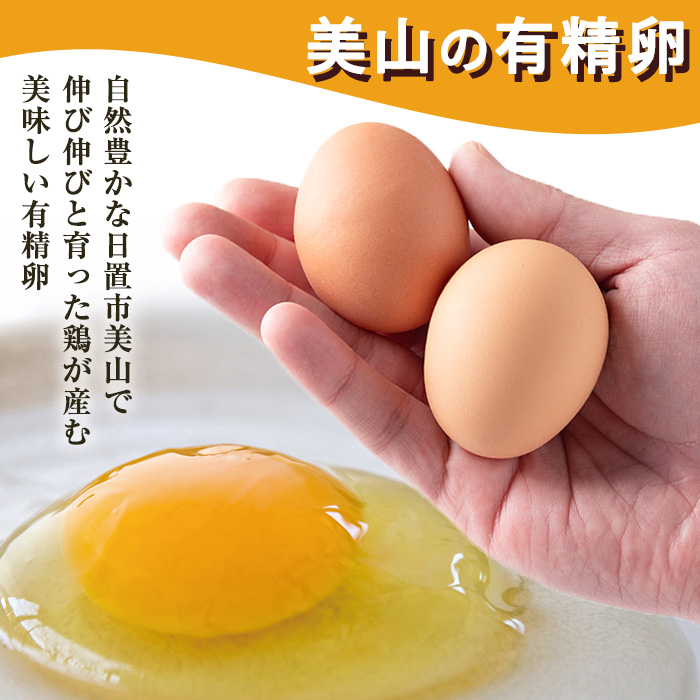 No.781 ＜定期便・全6回＞鹿児島県産有精卵(40個×6回連続) 割