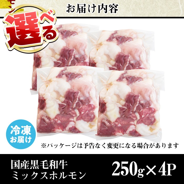 No.1001-01 黒毛和牛ミックスホルモン(計1kg) 国産 九州産 牛肉 