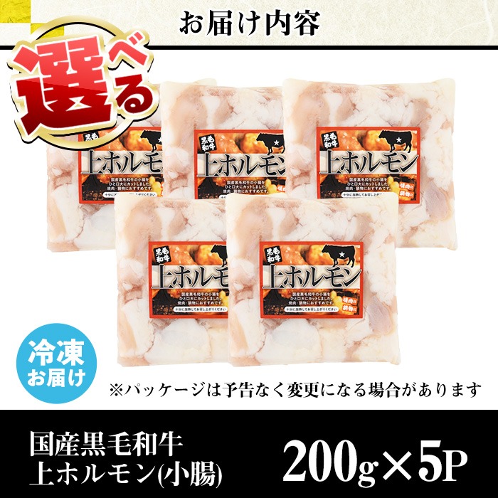 No.1001-02 黒毛和牛上ホルモン(計1kg) 国産 九州産 牛肉 黒毛和