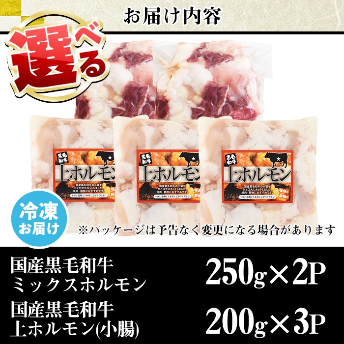 No.1001-04 国産黒毛和牛ミックスホルモン、上ホルモン(合計1.