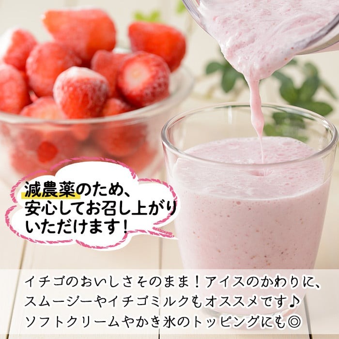 No.1183 冷凍いちご(計約2.55kg・約850g×3P) 国産 九州産 苺 いち