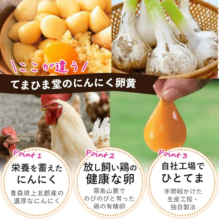 No.1290 てまひま にんにく卵黄(1袋・62粒入り) 鹿児島 日置市 
