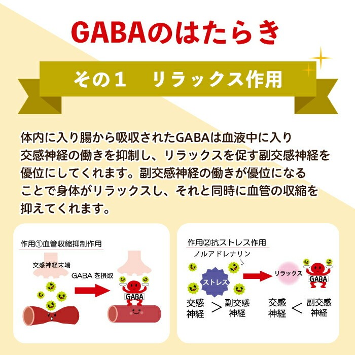 No.1286-B ＜定期便・全6回(隔月)＞GABA100(1袋 62粒入・2袋×6回 