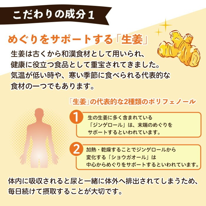 No.1285-B ＜定期便・全6回(隔月)＞てまひま にんにく卵黄生姜