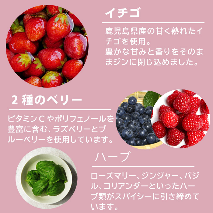 No.359-F 国産クラフトジン KOMASA GIN(45％) 苺-Color-Edition(500ml×2