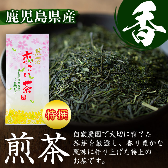 No.407 ＜鹿児島県産＞特撰煎茶(100g×3袋セット 計300g) 【末永(