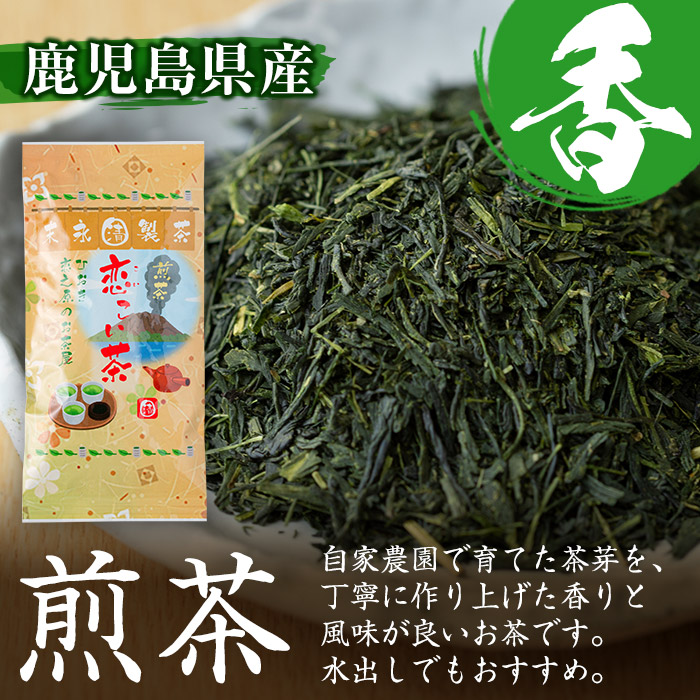 No.410 ＜鹿児島県産＞煎茶(100g×5袋セット 計500g)【末永(清)製