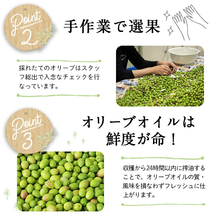 No.428 ＜数量限定＞純鹿児島産エキストラバージンオリーブ