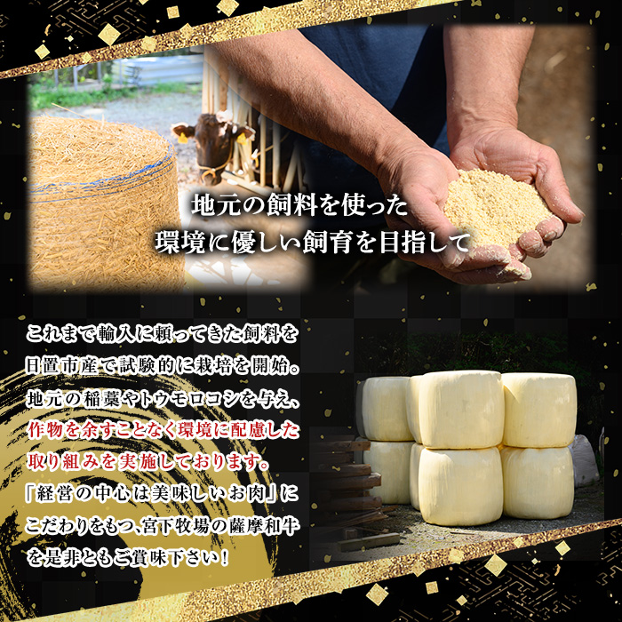 No.418 薩摩和牛の肩ロースすきしゃぶ用(600g)国産 九州産 牛