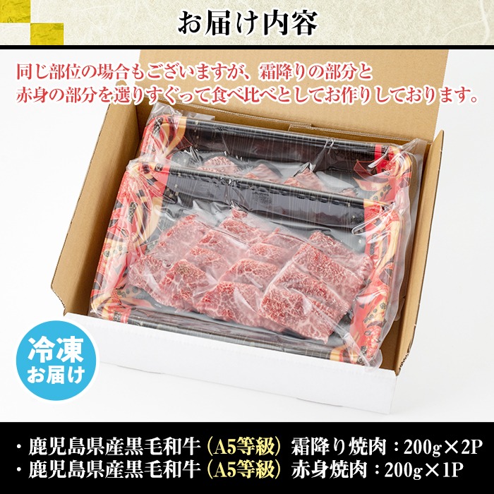 No.507-03 ＜A5等級＞鹿児島県産黒毛和牛焼肉セット(計600g・霜