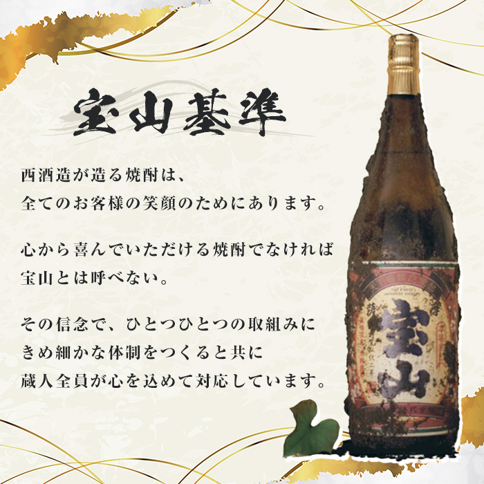No.489 ふるさと納税限定！人気の焼酎！薩摩宝山豪華セット(