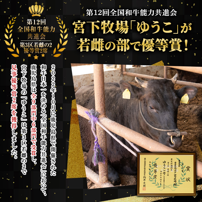 No.607 鹿児島県産黒毛和牛すきしゃぶ用赤身肉(計800g・400g×2P