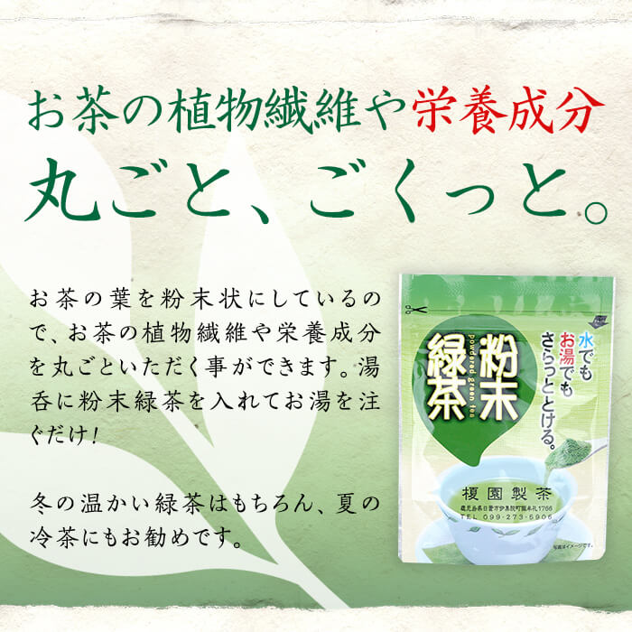 No.616 鹿児島県産の煎茶セット「かえで」かえで(100g×5袋)と
