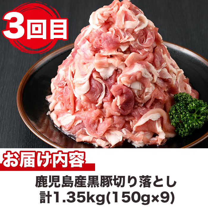 No.725 ＜定期便・全5回(連続)＞鹿児島産黒豚味わい尽くしコ