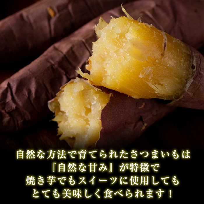 No.452 鹿児島県産！日置市の有機さつま芋紅はるか(6kg)国産 