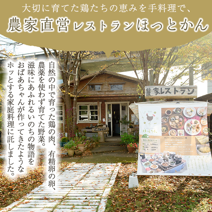 No.759 赤鶏刺身半身セット(計960g・240g×4袋) 国産 九州産 赤鶏