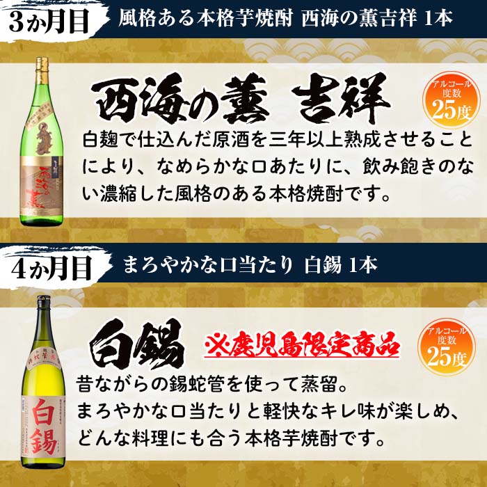 No.766 ＜定期便・全6回(連続)＞南国酒造の厳選芋焼酎定期便B