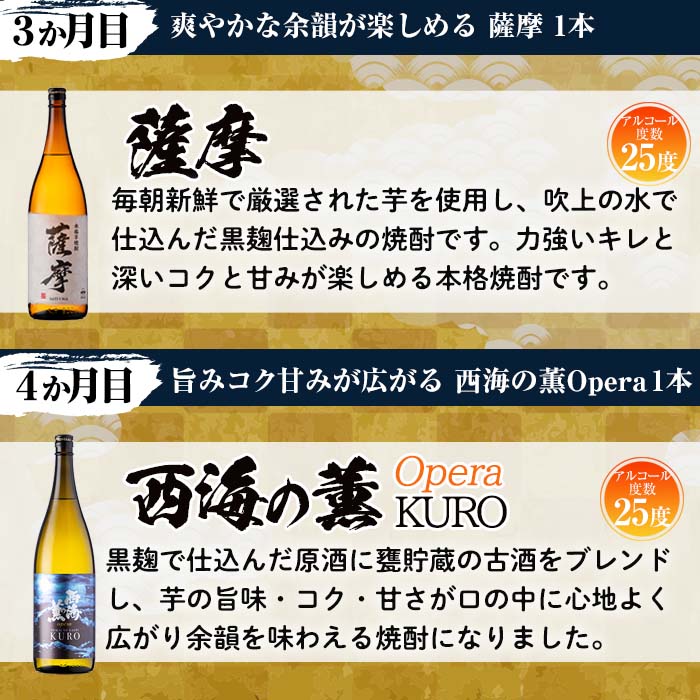 No.767 ＜定期便・全6回(連続)＞南国酒造の厳選芋焼酎定期便B
