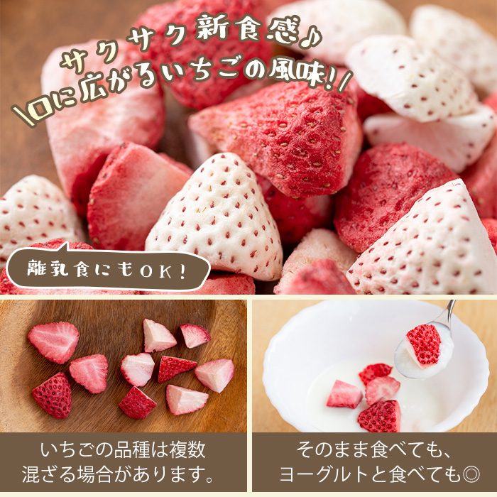 No.881 紅白苺のシュガー(60g×2瓶)とフリーズドライ(10g×1袋) 