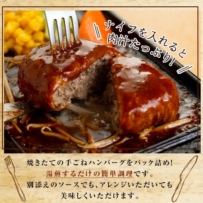 No.877 ハンバーグ専門店のふんわりジューシーハンバーグ(計