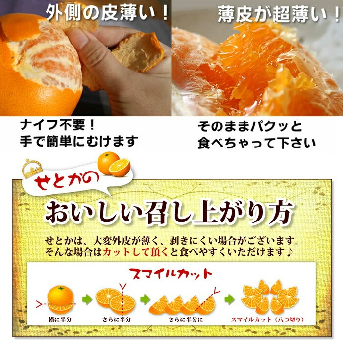 No.211 ＜先行予約受付中！2026年2月下旬～3月下旬までの間に